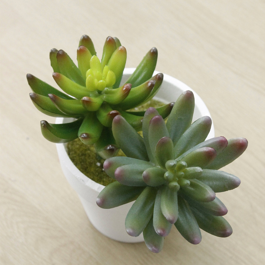 仿真花多肉植物 仿真植物肉 假花绿植 优惠多款式 特价