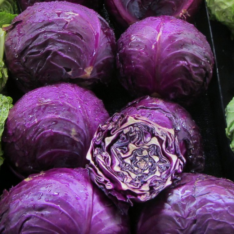 现货供应脱水紫甘蓝粉羽衣甘蓝粉紫甘蓝生粉散装批发1公斤起批