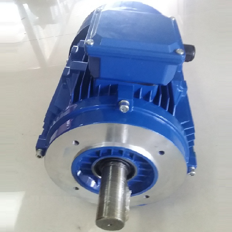 75kw立式三相电机