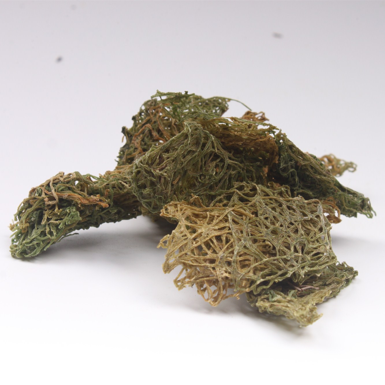 干货海粉挂面红海粉海珠海兔卵海兔子屎批发冷背奇海粉中药材海粉