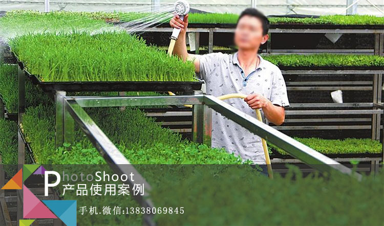 芽苗菜杀菌消毒液适用案例