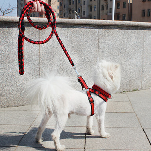 狗链 狗绳宠物狗狗牵引绳胸背带牵引带遛狗绳牵狗绳泰迪狗链子