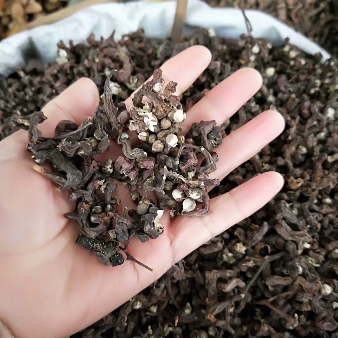 中药材万寿果 拐枣 积棋子 鸡爪梨