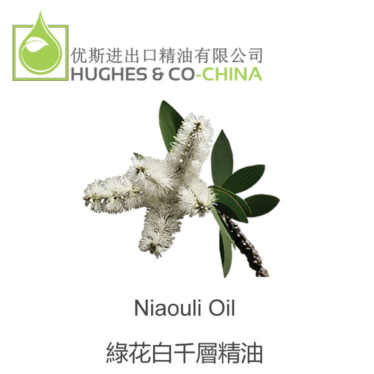 英国优斯 绿花白千层单方精油 芳疗spa护肤美白 进口精油原料批发