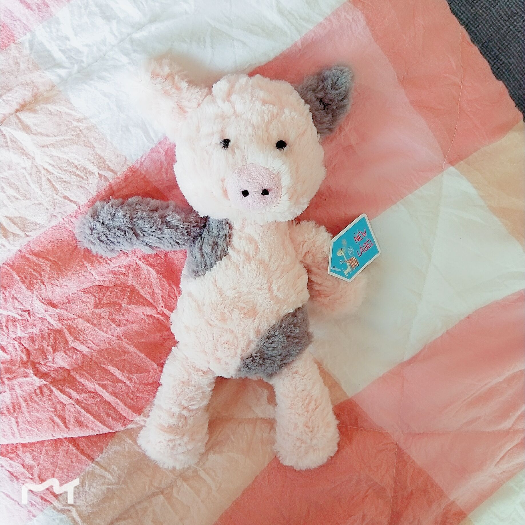 新款邦尼宝宝系列粉色猪熊毛绒玩具生日礼物抓机玩偶安抚娃娃礼品