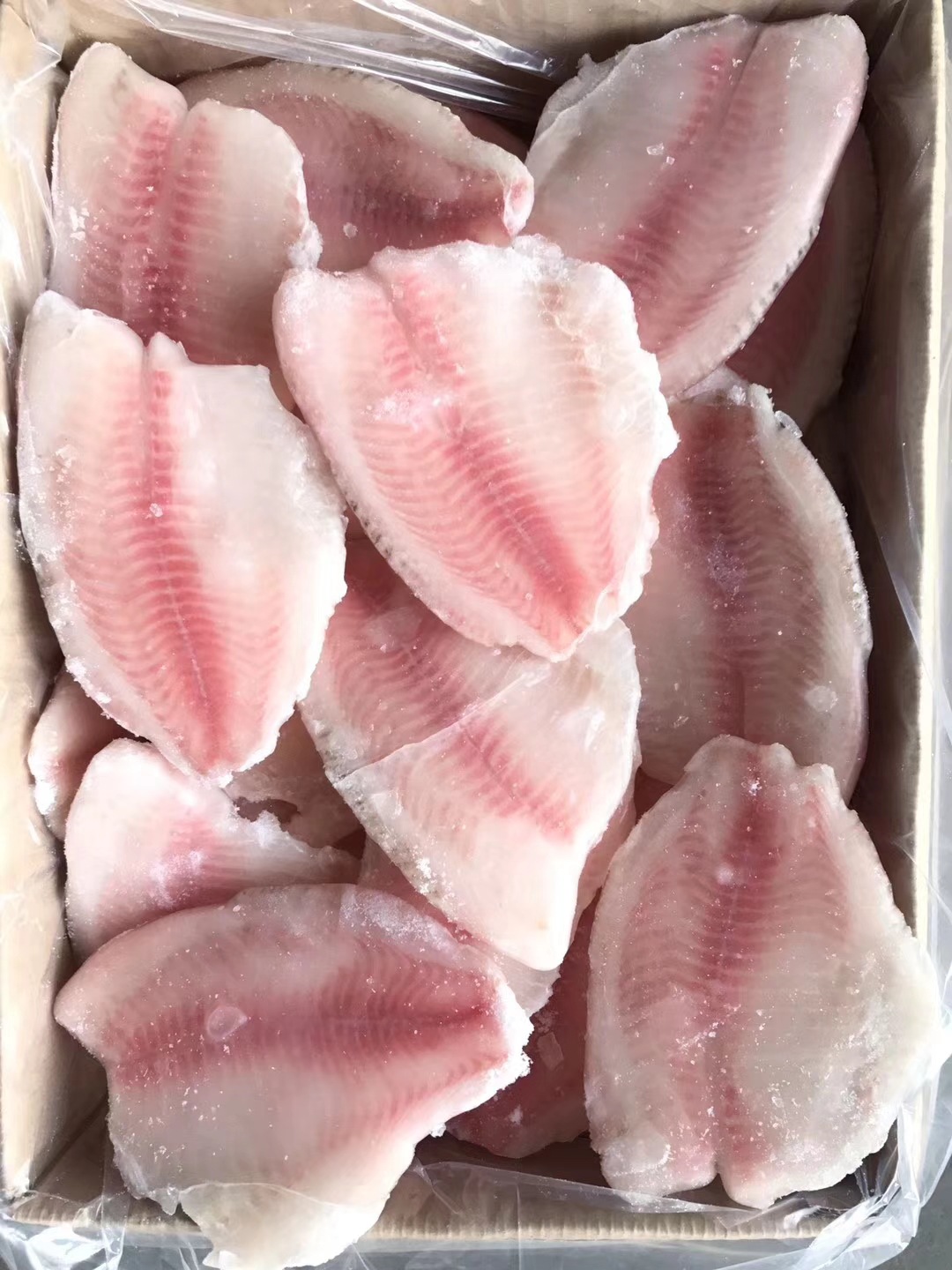 冷冻罗非鱼片 鲷鱼片 鲈鱼片 黑鱼片 免酱黑鱼片 松鼠鲷鱼批发