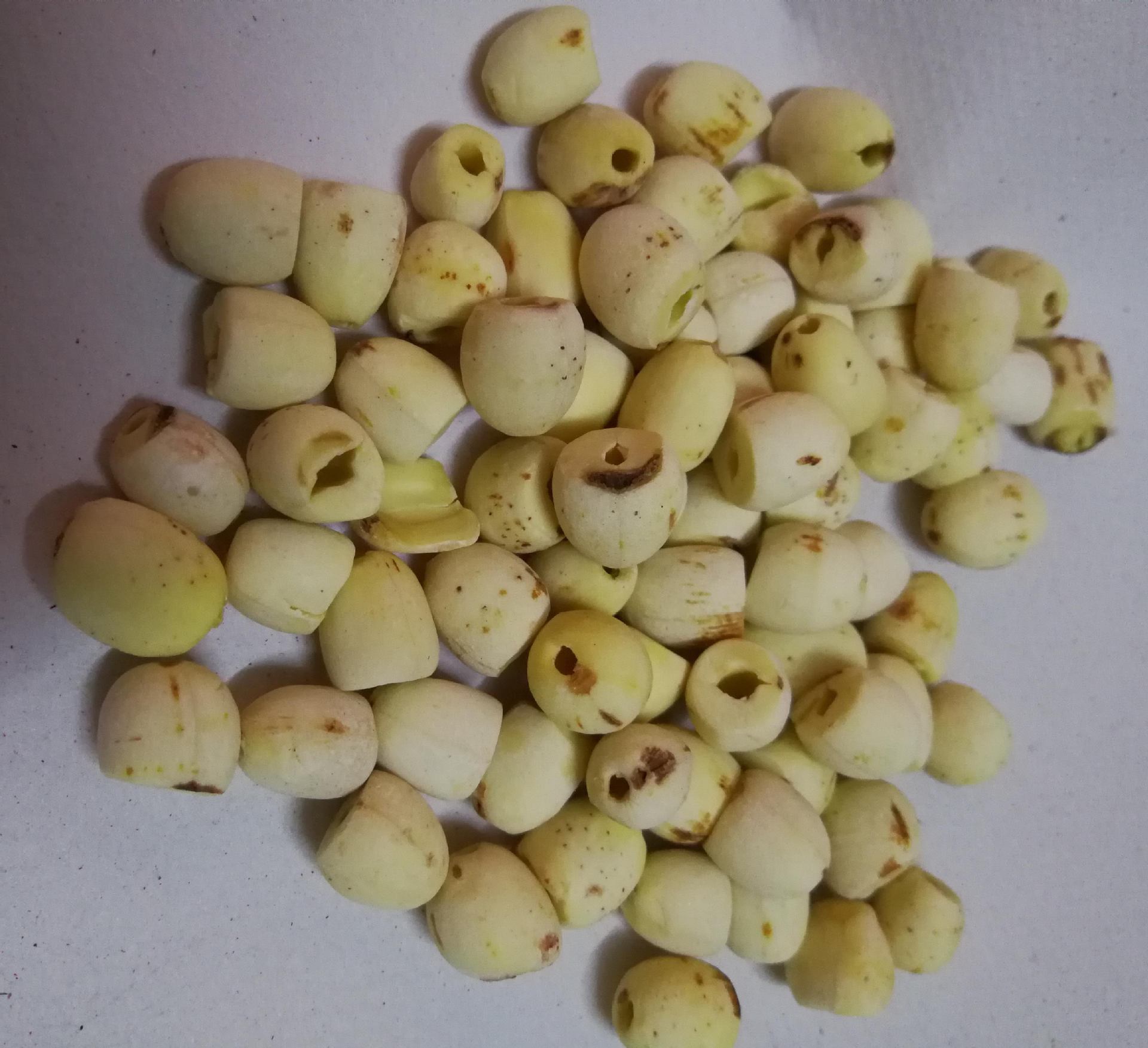 供应无芯白莲子小粒去芯白莲子营养素补充莲子