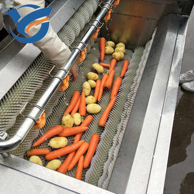 厂家直销胡萝卜清洗机 胡萝卜去皮机 根茎类蔬菜毛刷清洗机