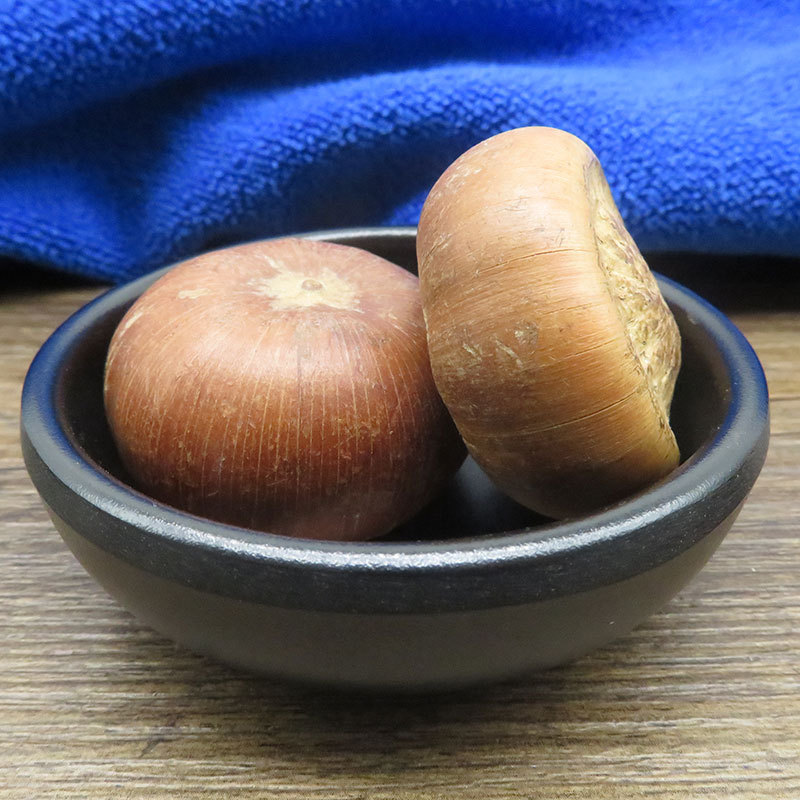 山马蹄马蹄石马蹄果500g包邮中药材散货批发