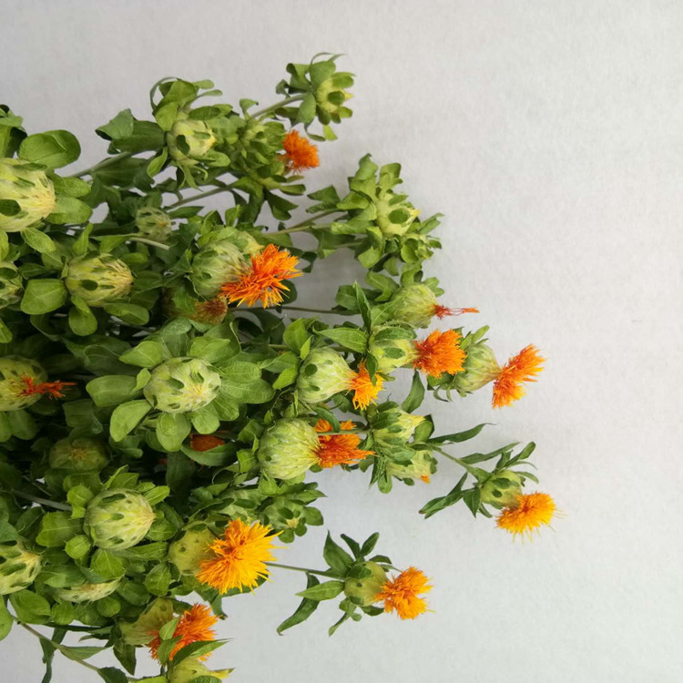 干花橙菠萝 干花菠萝杆 自然风干 家居装饰 百搭花材