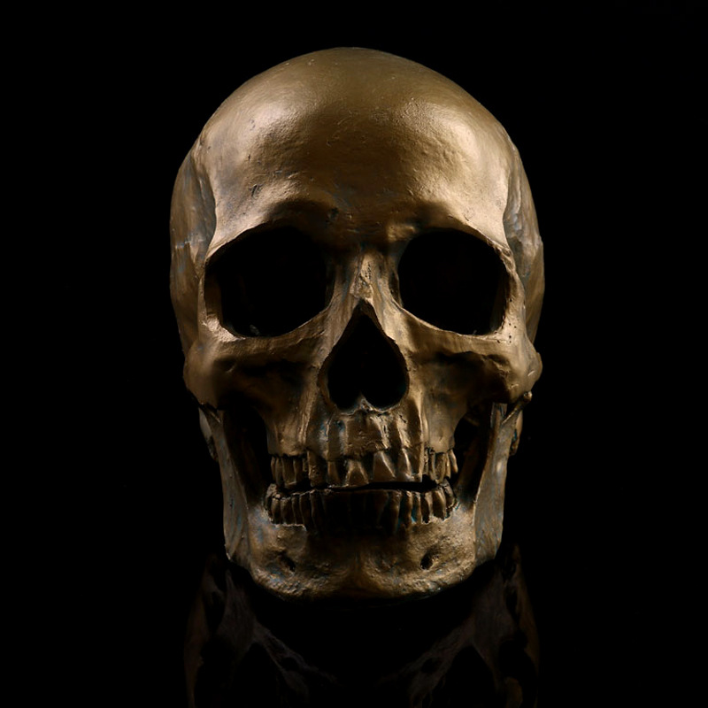1:1树脂骷髅头 头骨 工艺品 个性摆件 外贸供货 办公室摆件 礼品
