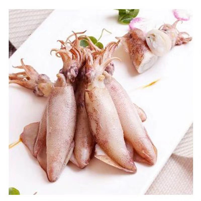 海兔全籽籽乌1.4斤左右 27只左右一盒 海鲜火锅红烧爆炒熟冻批发