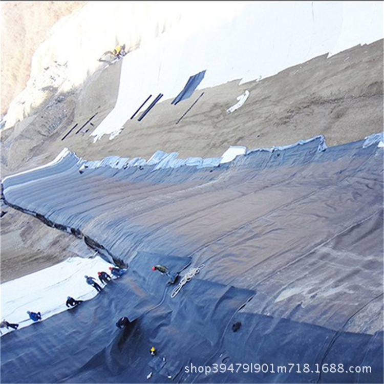 养殖场污水处理厂防潮土工膜建房地基防水防渗加厚土工膜厂家现货