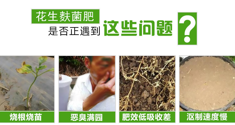 花生麩菌肥常見問題