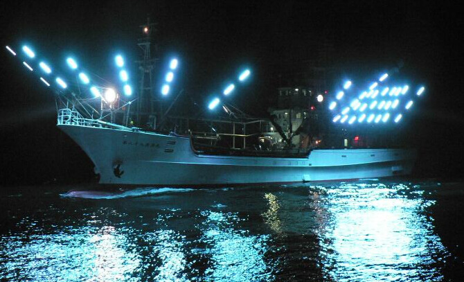 巨宏新品led诱鱼灯 捕鱼灯用cob led 大功率30w集鱼灯cob光源