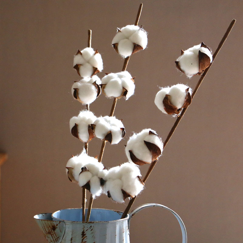 源头工厂棉花干花4头干花棉花枝棉花花束装饰摆件拍摄道具可定制