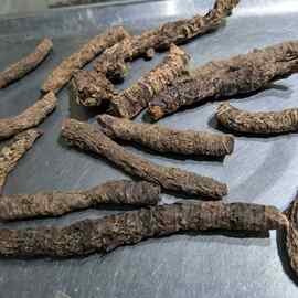 中药材批发销售中药材   西藏特产岩参(岩白菜,岩菖蒲)