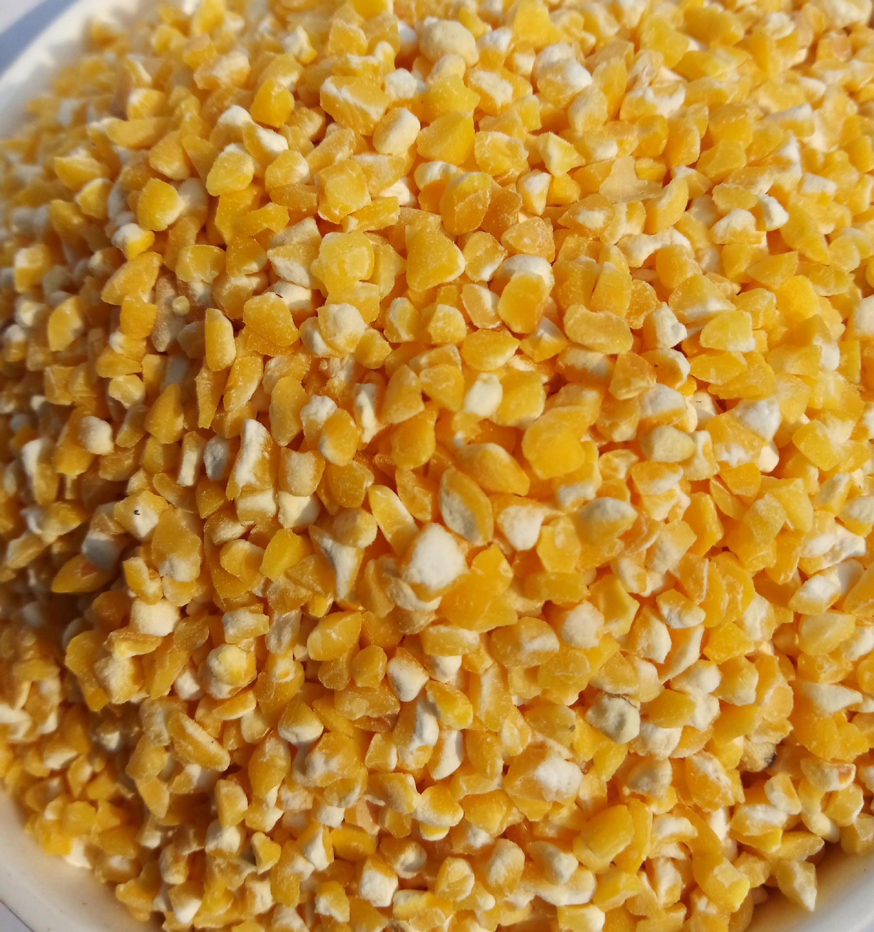 低温烘焙五谷杂粮熟玉米粒 五谷磨坊原料 玉米渣现磨豆浆原料