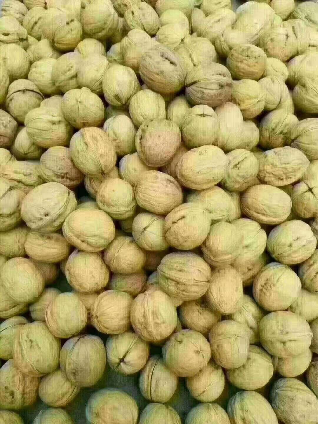 野生小核桃薄皮核桃秦岭山老核桃树小孩孕妇零食坚果 散装