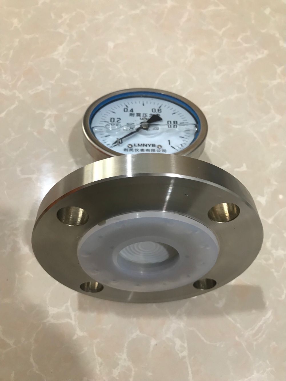 乐清厂家供应全不锈钢耐震法兰式隔膜压力表dn5010mpaf4s衬氟