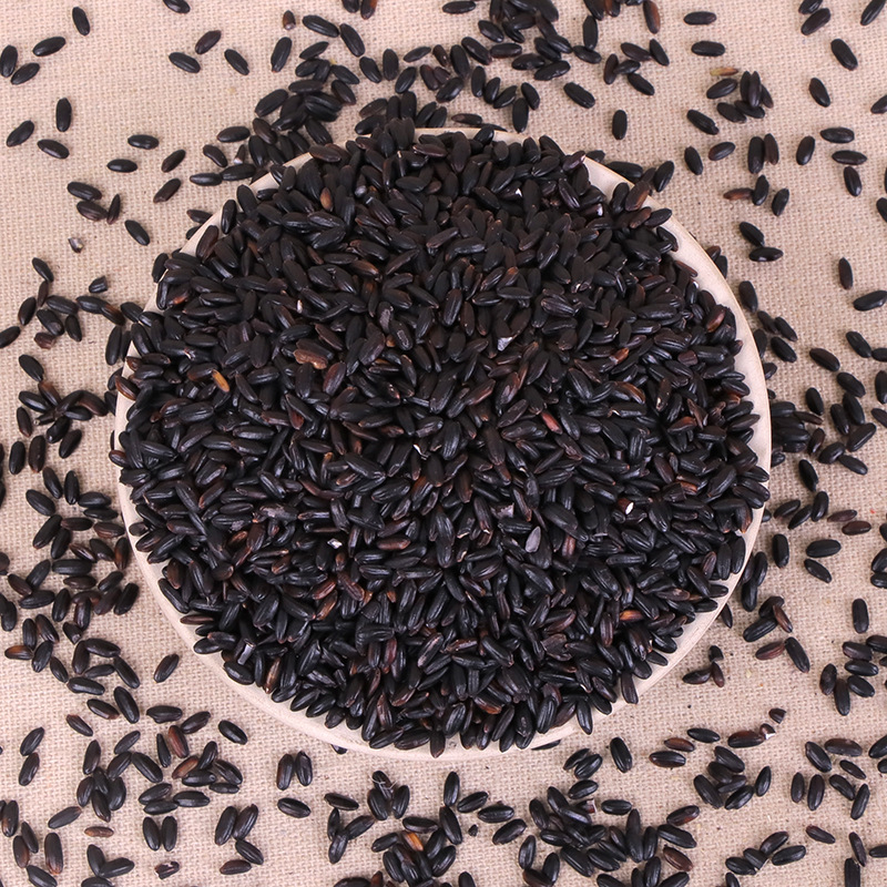 批发黑米 黑香米 东北黑香米 食品 原料黑大米 25kg袋装黑香米