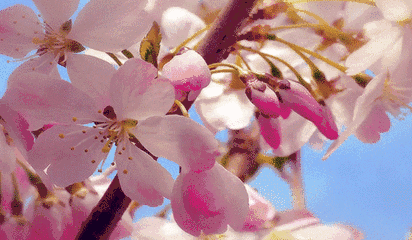 一到春天就痒痒?搞定皮肤过敏需要这样做