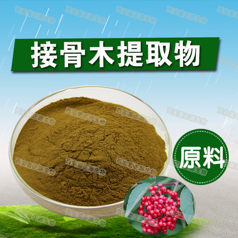 接骨木提取物20:1 富含花青素 接骨木浓缩粉 厂家现货批发