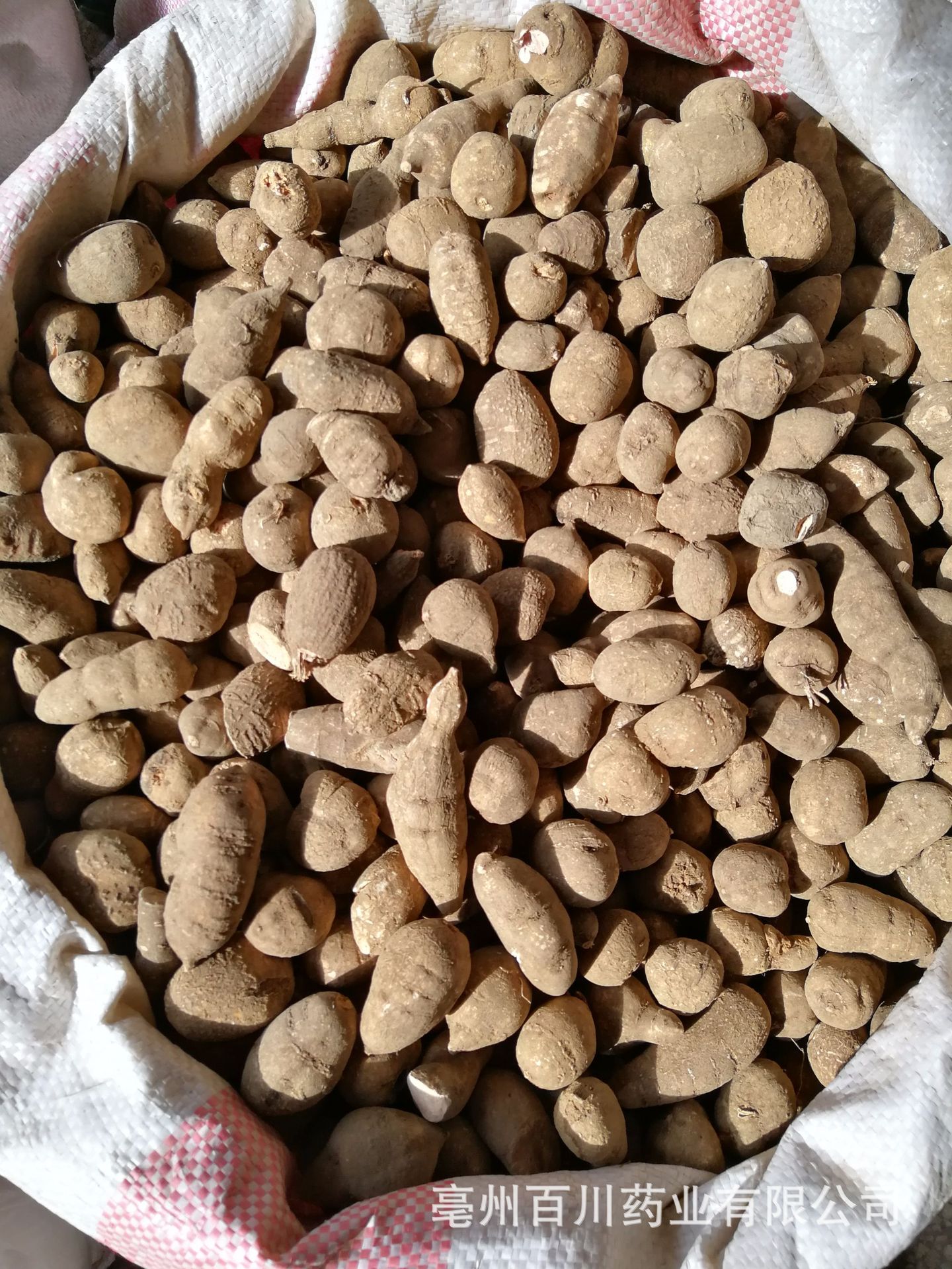 百川药业 三叶青 金丝吊葫芦 金线吊葫芦 15天无条件