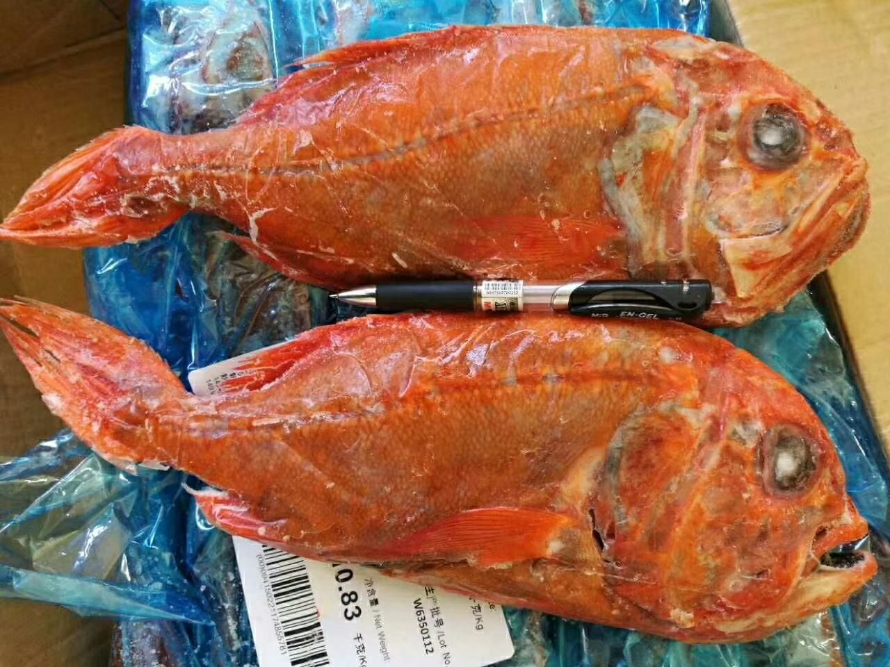 该鱼皮色橙黄,肉色超洁白,口感细腻富有弹性.