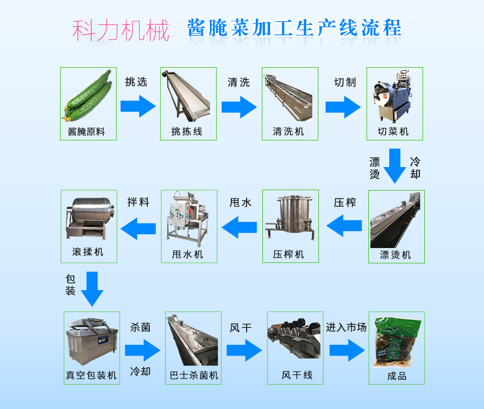 供应果蔬清洗流水线 红枣自动清洗机 豆芽香干气泡清洗机厂家y