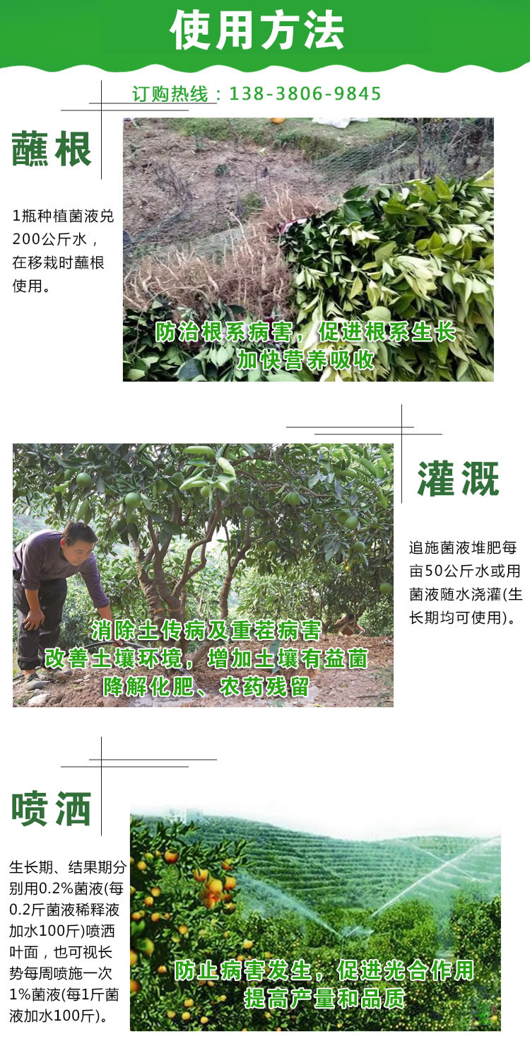 柑橘种植使用方法