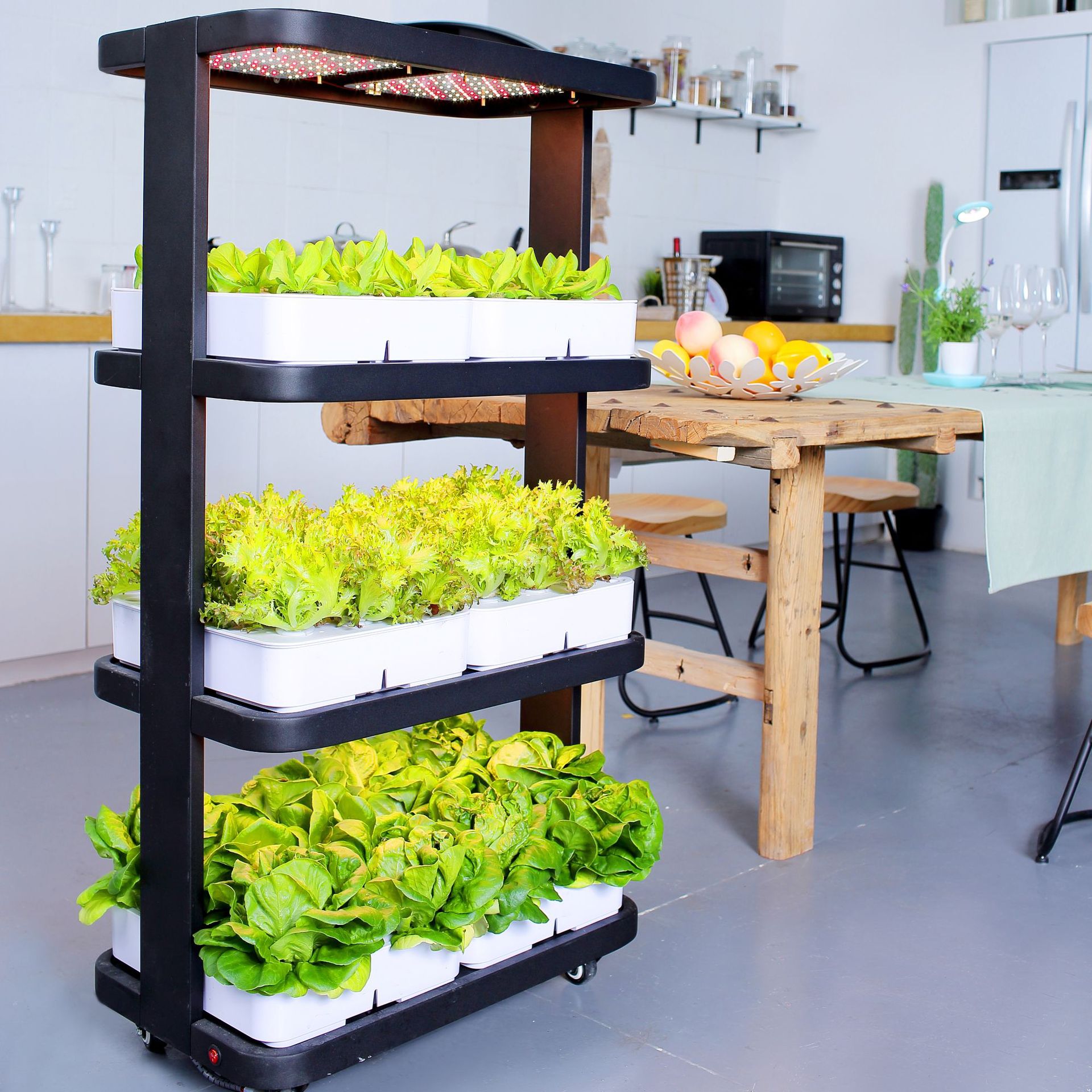 阳台无土栽培蔬菜种植机水培设备家用种菜神器室内家庭专用种植箱