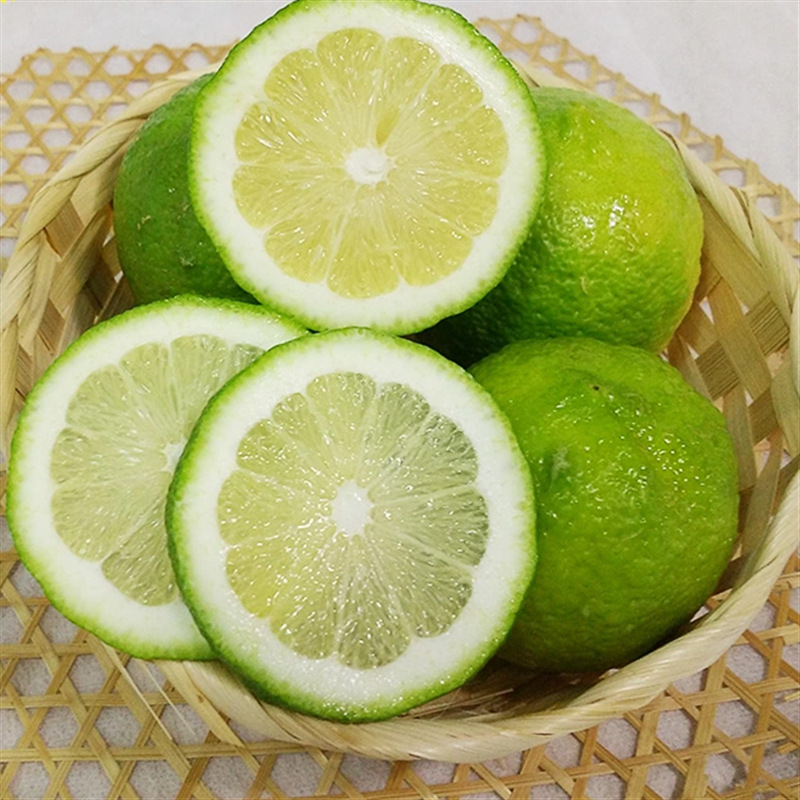 四川安岳新鲜尤力克青柠檬大果当季水果产地批发一件代发奶茶店款