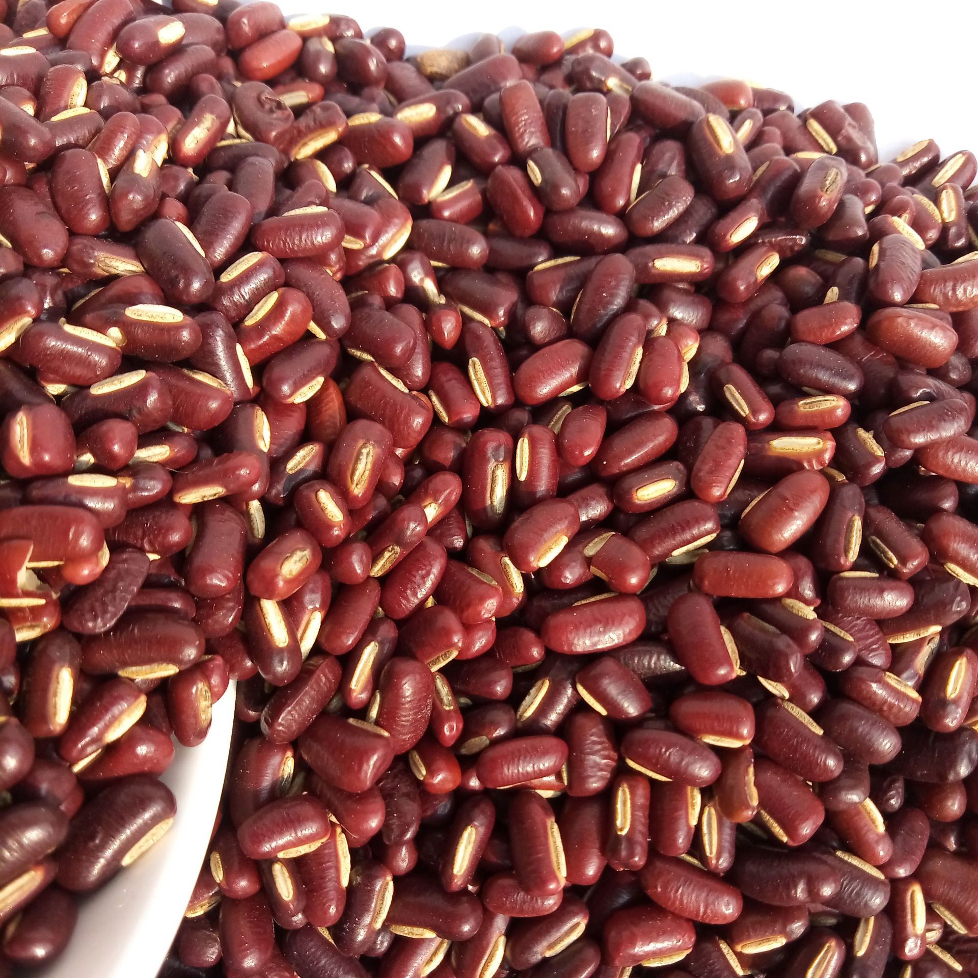 低温烘焙熟赤小豆 五谷磨房赤豆 磨粉原料 批发 豆子