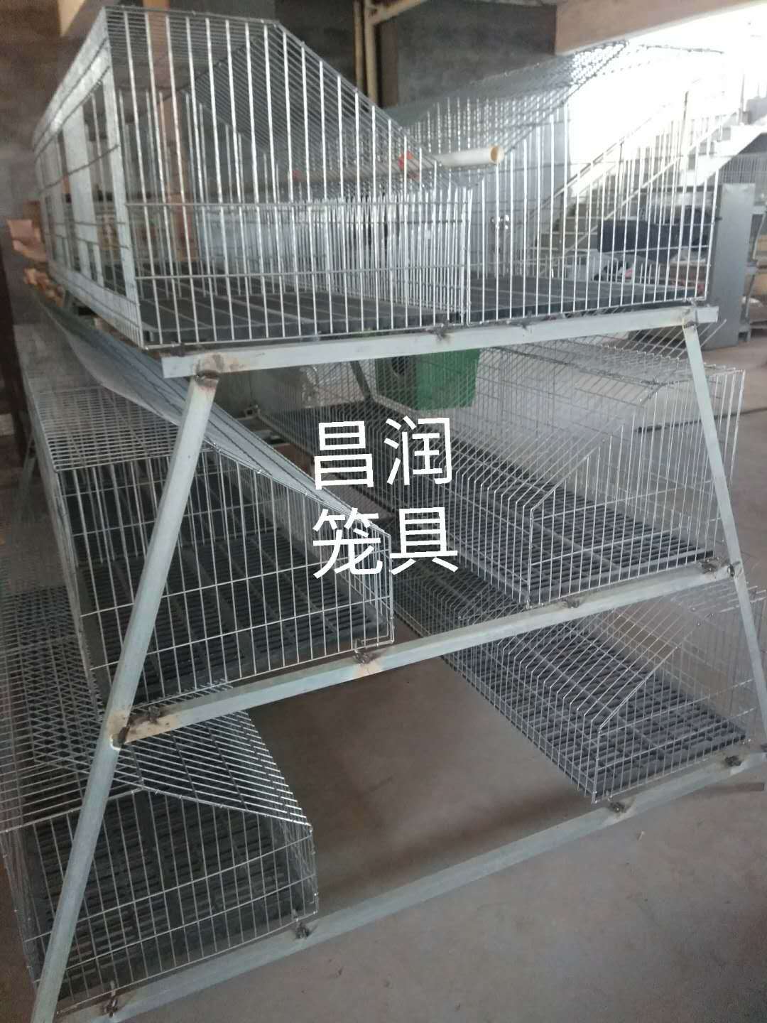 自动清粪兔笼 免清粪3层18位 阶梯式兔笼 子母育肥种兔