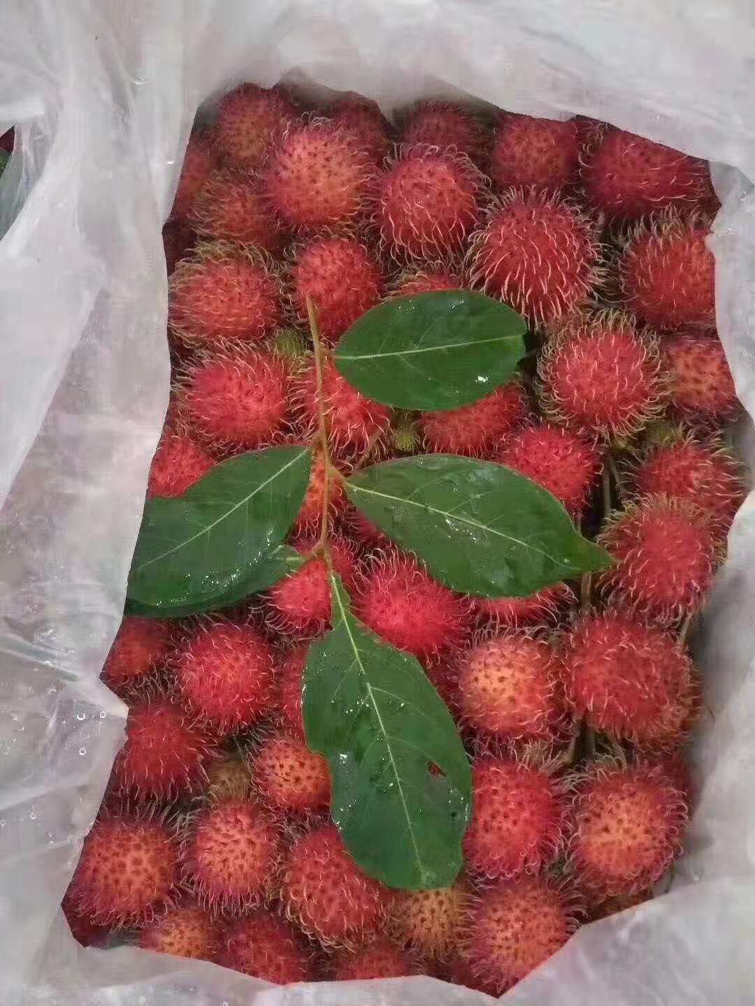 新鲜水果批发泰国红毛丹红毛丹出口泰国产品江南进口水果