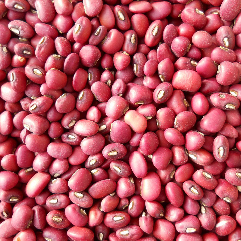 红小豆新货 农作物粗粮100斤/袋红豇豆【不包邮】 五谷杂粮红豇豆