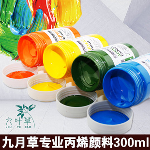 阿尼戈尼 丙烯颜料24色墙绘手绘t恤颜料鞋diy丙烯画防水300ml大瓶