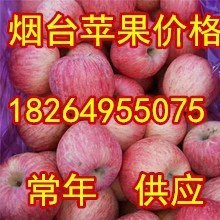 山东烟台红富士苹果基地山西陕西红富士苹果产地价格临沂苹果价格