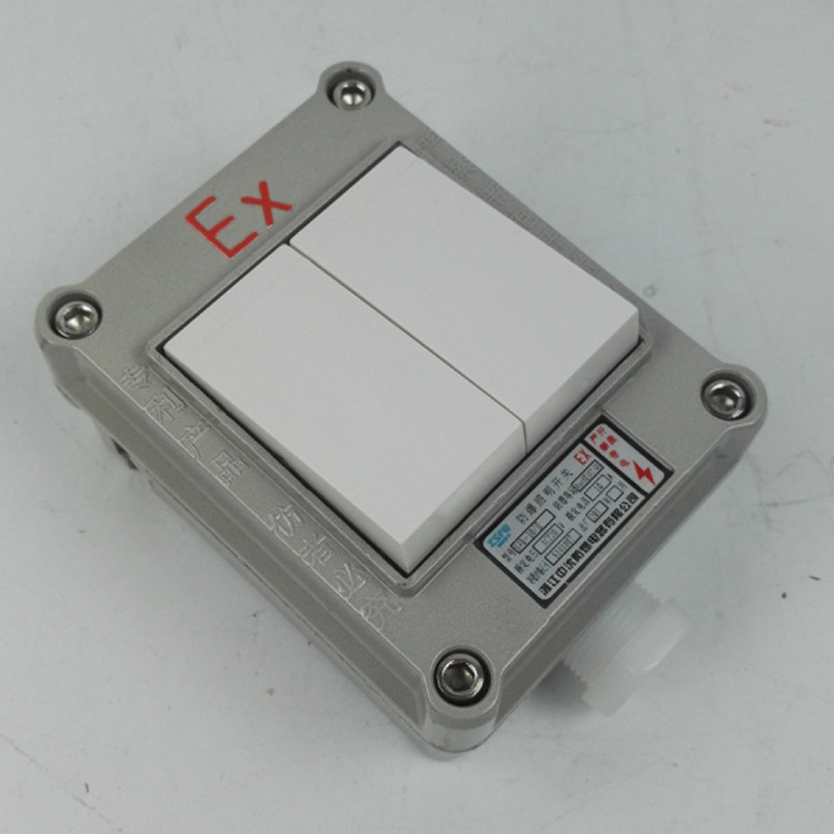 防爆开关swb-10a/ii防爆照明开关exdiibt6 二开防爆墙壁开关铸铝