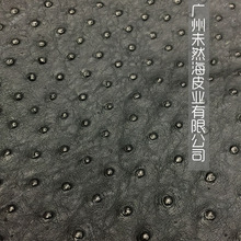 鸵鸟皮纯天然进口真皮批发A级高档箱包皮具材料