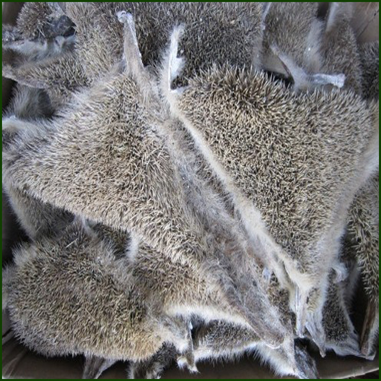 刺猬皮销售