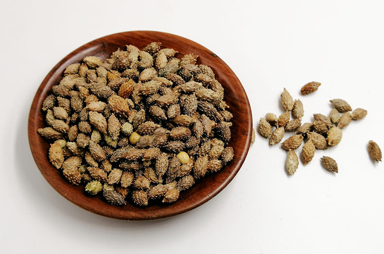 批发苍耳子 老苍耳 去刺苍耳苍耳种子苍耳籽1000g