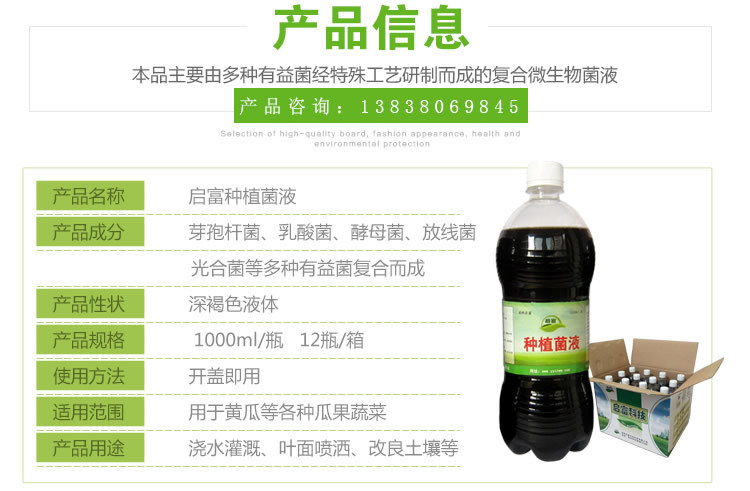 黄瓜角斑病防治益生菌