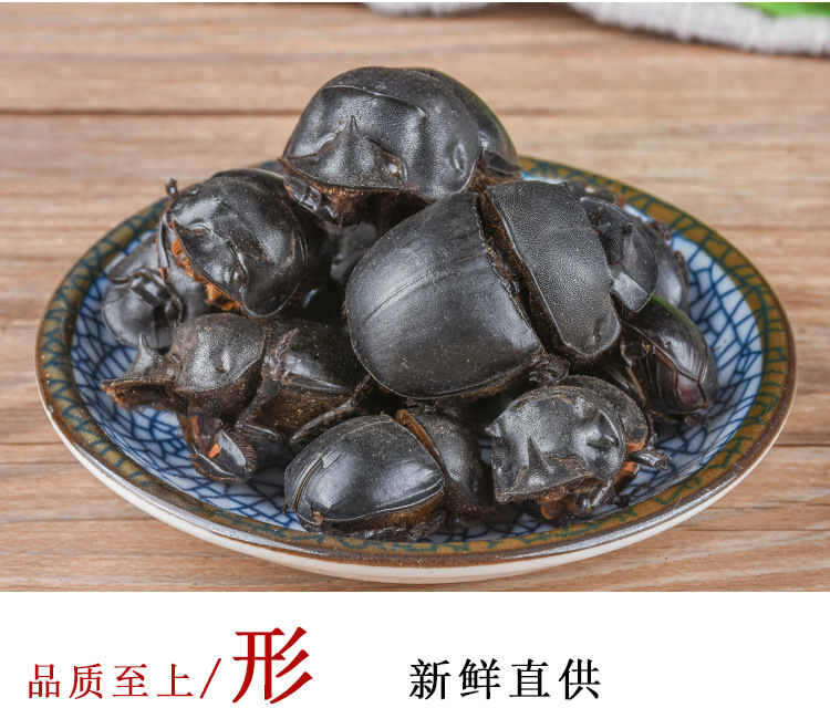 中药材大将军 千种动物原药材屎壳浪 蜣螂虫散装规格齐全量大从优