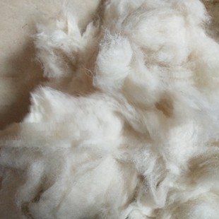 昂和绒毛厂家直销 无异物干净精品水洗毛羊毛 56~58支数白色羊毛