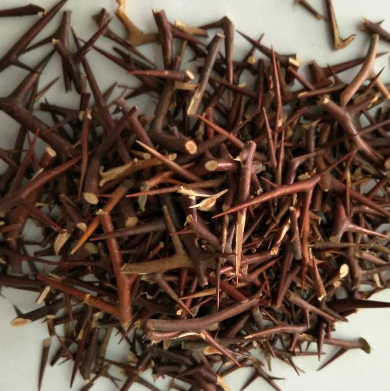 包邮产地货源飒枫皂刺天丁散装中药材批发皂角刺大货批发实力厂家