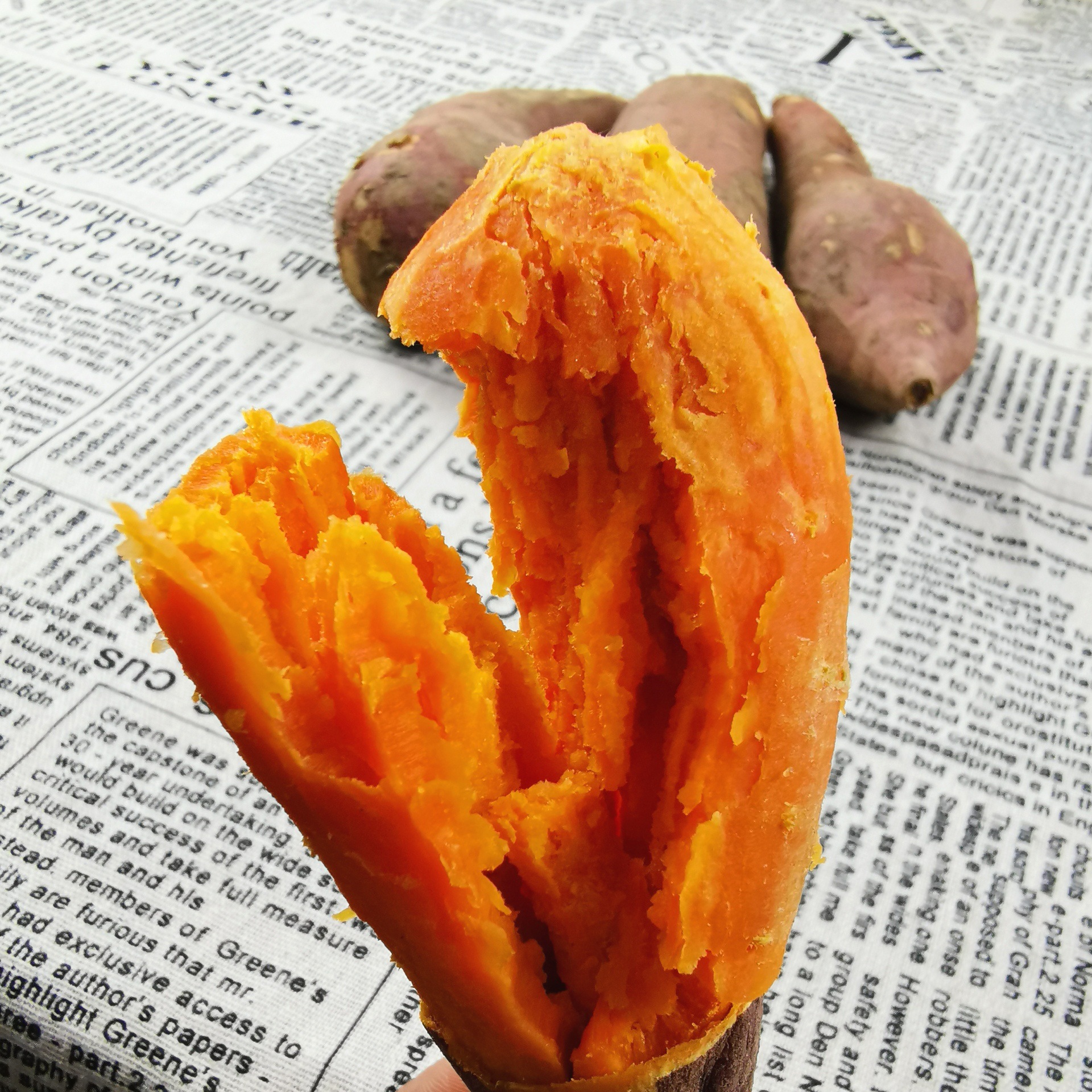 福建大叶红六鳌地瓜红蜜薯挑选沙地红薯漳州红心地瓜红番薯