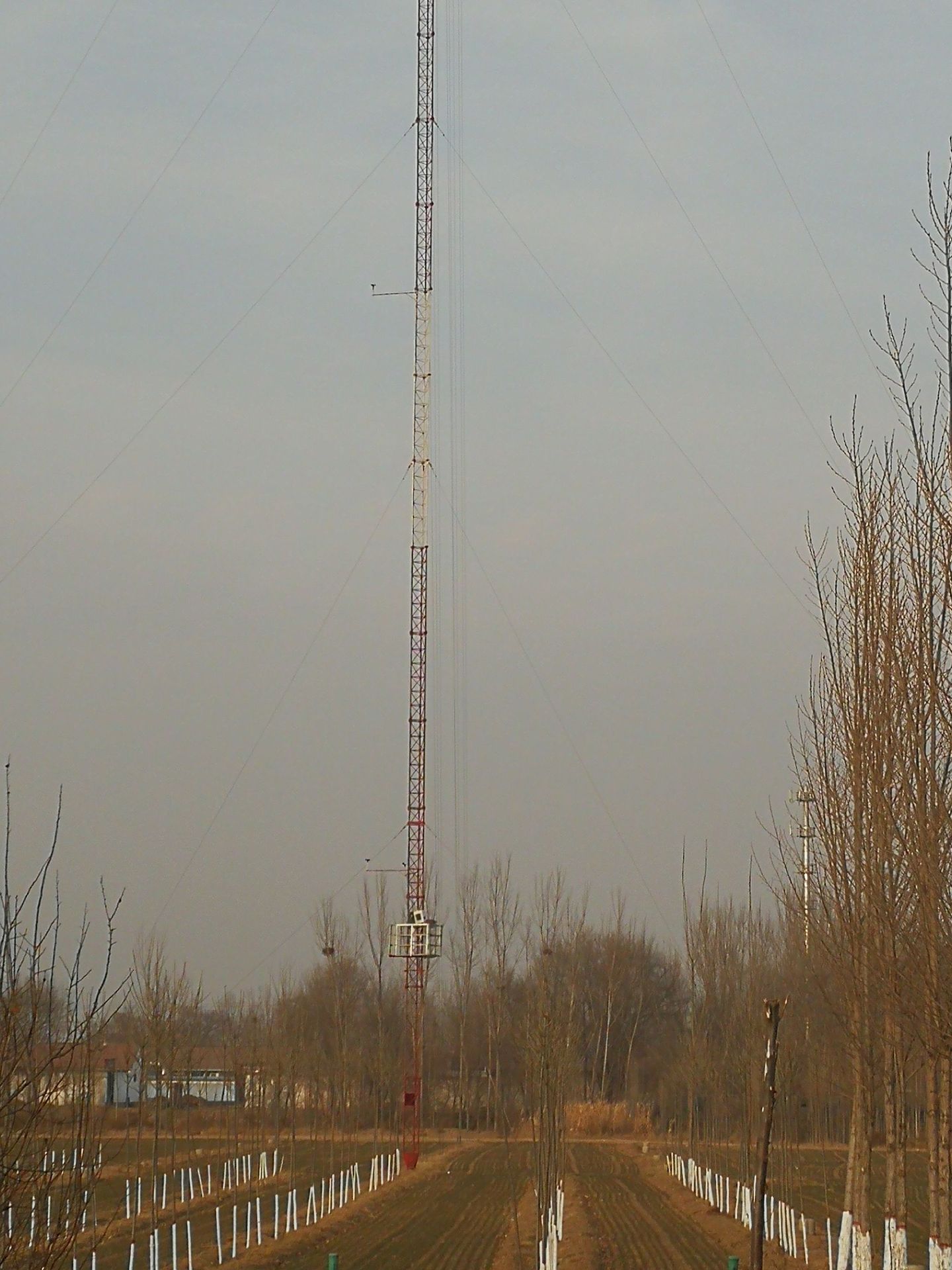 河北腾扬厂家直销钢结构拉线塔,广播电视塔, 通讯塔