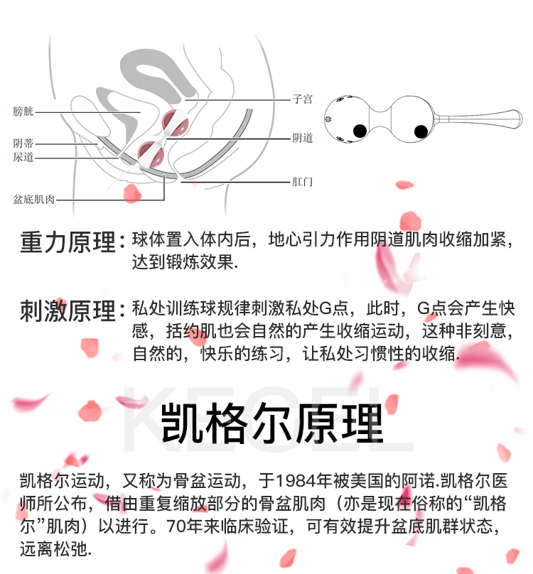 yeain夜樱 缩阴球阴道收缩锻炼器女用自慰 成人情趣用品批发代发